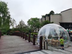 -上海崇明金茂凯悦酒店