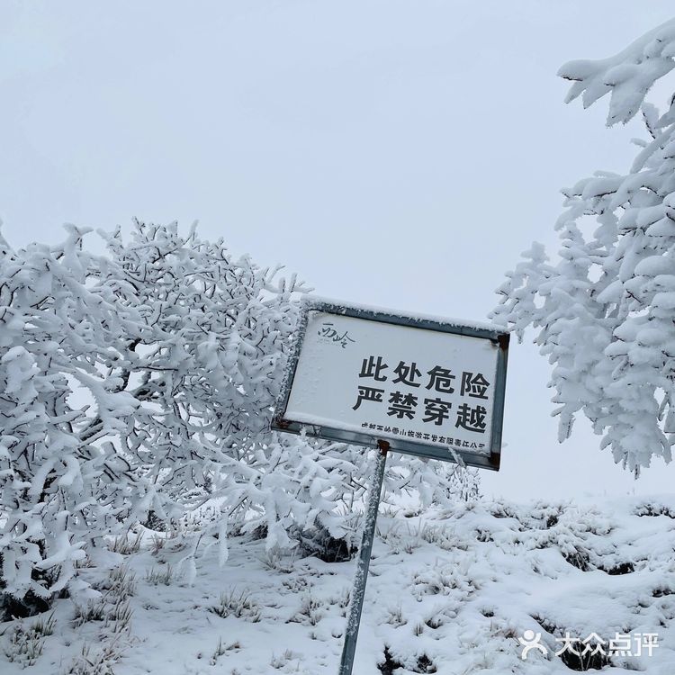 成都周边游[亲亲]西岭雪山二日游攻略