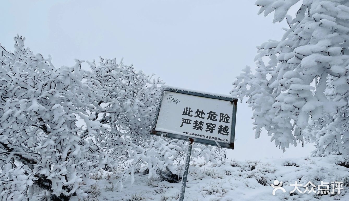 成都周边游[亲亲]西岭雪山二日游攻略