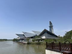 -盐城丹顶鹤湿地生态旅游区