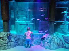 -沈阳海洋探索中心