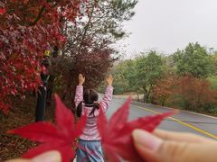 -南京市无想山景区