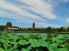 -西海子公园