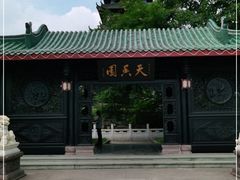 -桂湖森林公园