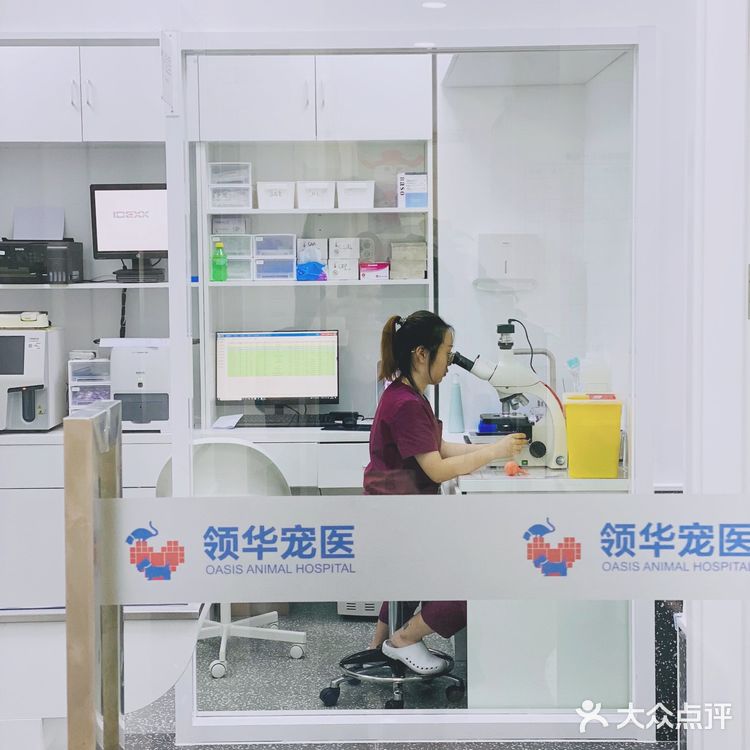 领华宠医·星华宠物医院|医生和环境都非常靠谱的连锁宠物🏥