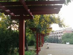 -山东大学(兴隆山校区)