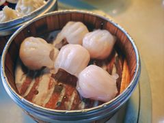 -得心斋(国瑞升平里店)