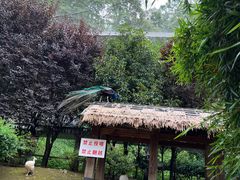 -黔灵山公园