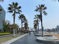 -金沙湖公园