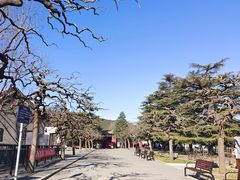 -香山公园