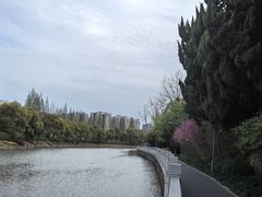 -嘉定紫藤园