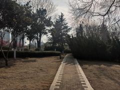 -沙澧河风景区