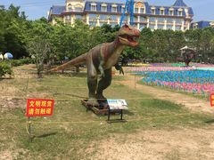 -百万葵园