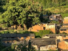 -杨家堂村