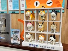 -谐和益家动物医院·免疫绝育·血液透析·宠保定点医院(高新伊藤分院)