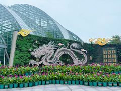-南山植物园