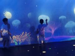-海合安武汉极地海洋公园