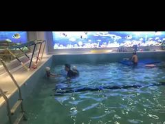-水贝乐国际水育儿童游泳中心(新业广场店)