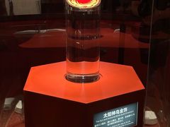 -金沙遗址博物馆
