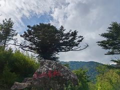-牛背梁国家森林公园