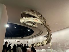 -自贡恐龙博物馆