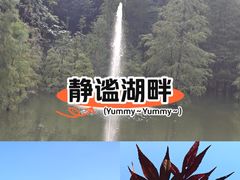 -广州市帽峰山景区