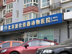 -北京派仕佳德动物医院·超导核磁·CT·神经科·骨科·内外科·急重症管理中心