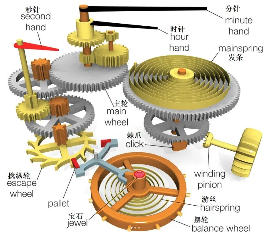 腕表的基本结构