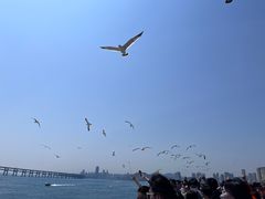 -星海广场