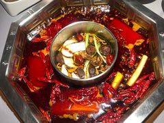 -蜀九香火锅(九眼桥店)