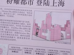 -Dior迪奥(上海世茂广场店)