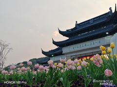 -苏州上方山国家森林公园