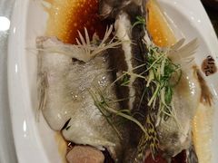 -寻味顺德·南记酒家·传统顺德菜·鱼生(广源路店)