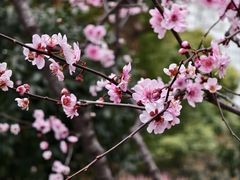 -静安雕塑公园