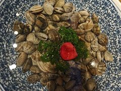 -鸽子窝(宋庄店)