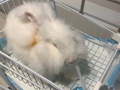 -怪兽屋·羊驼·猫咖·狗咖(俊华广场店)