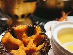 海胆-半岛翡丽海鲜自助餐厅(观风亭店)