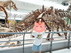 -中国地质大学逸夫博物馆