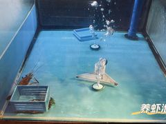 -长沙北辰洲际酒店-兰调全日餐厅