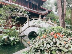-香园自助小火锅