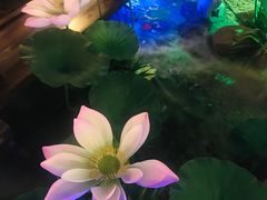 -韵秋荷(宝山龙湖天街店)