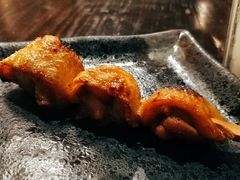 鸡腿尖肉-串鑫