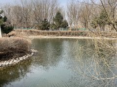 -长白岛森林公园