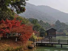 -虞山风景区