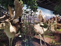 -陕西自然博物馆