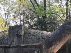 -灵谷景区
