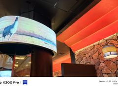 -芸山季·云南山珍菌火锅(人民广场来福士店)