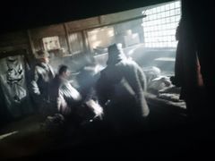 -AMG海上明珠影城(上海环球港RealDCinema店)