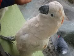 -石家庄市动物园