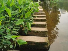 -重庆彩云湖湿地公园